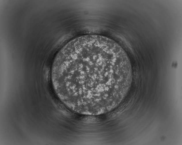 X0000099950123200806201323
