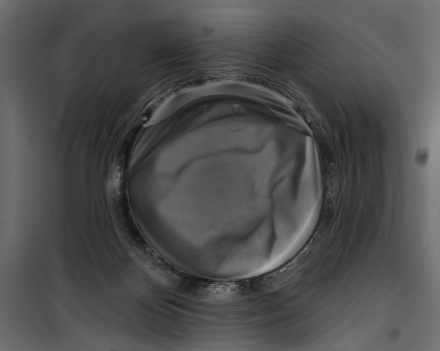 X0000099950124200806201323