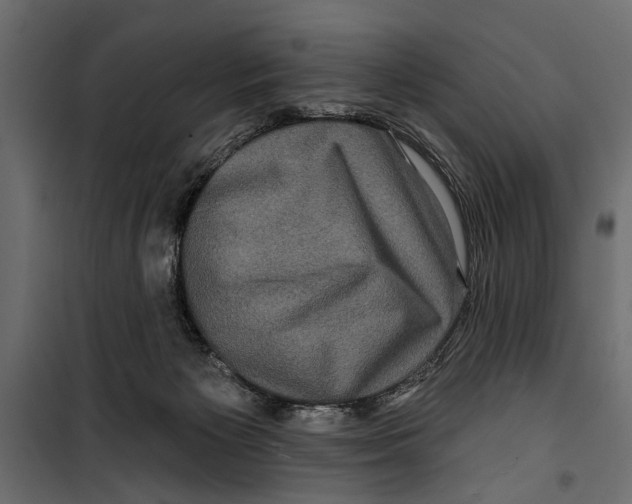 X0000099950125200806201323