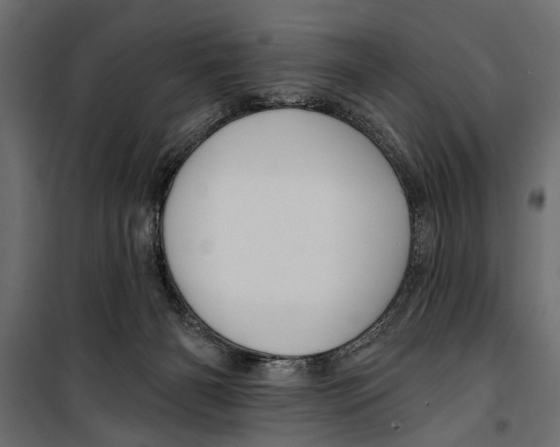 X0000099950126200806201322