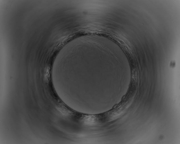 X0000099950127200806201322