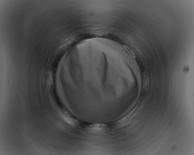 X0000099950128200806201322