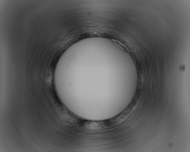 X0000099950129200806201322