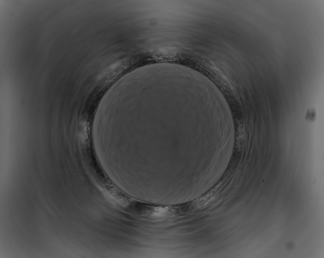 X0000099950130200806201322