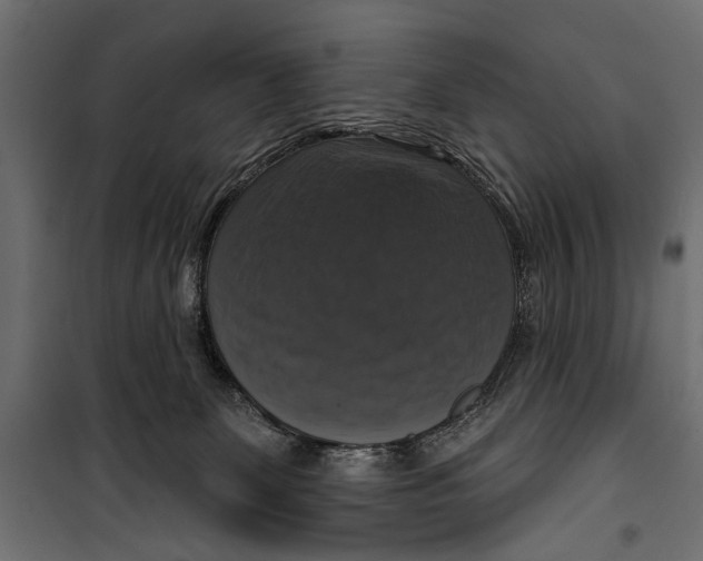 X0000099950131200806201322