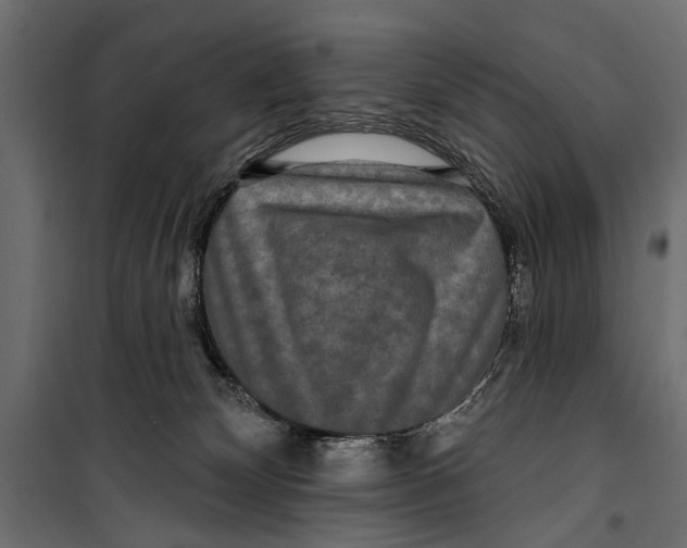 X0000099950132200806201322