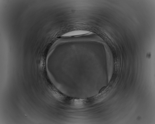 X0000099950134200806201322