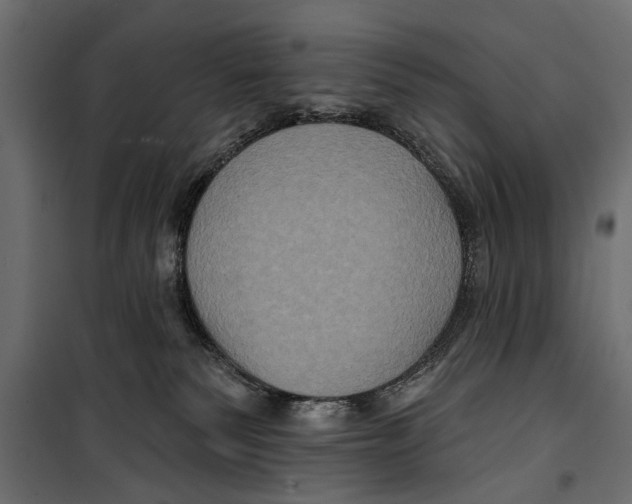 X0000099950135200806201322