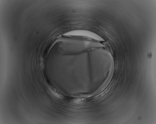 X0000099950136200806201322