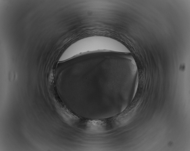 X0000099950137200806201322