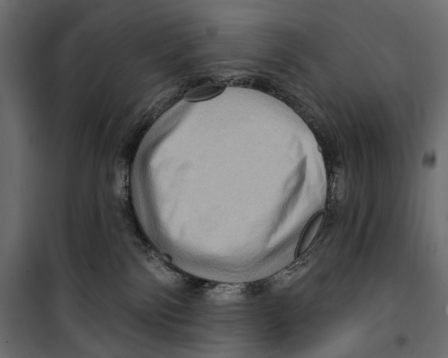 X0000099950138200806201322