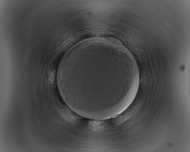 X0000099950139200806201322
