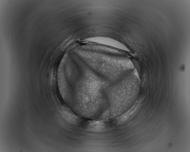 X0000099950140200806201322