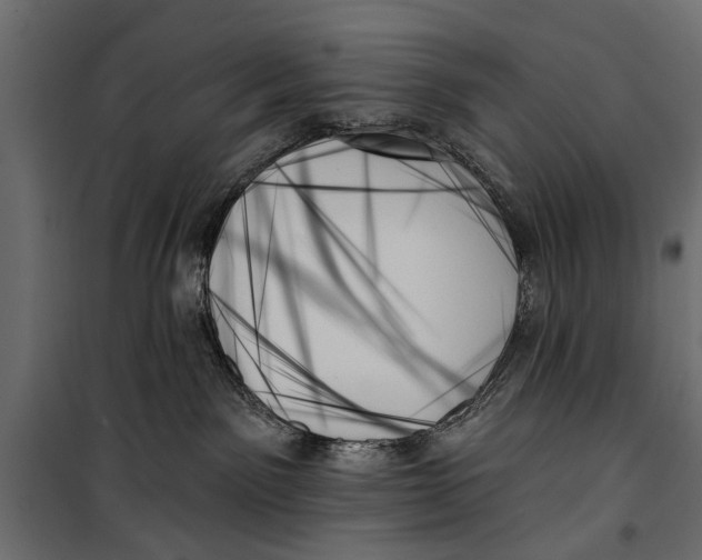 X0000099950141200806201322