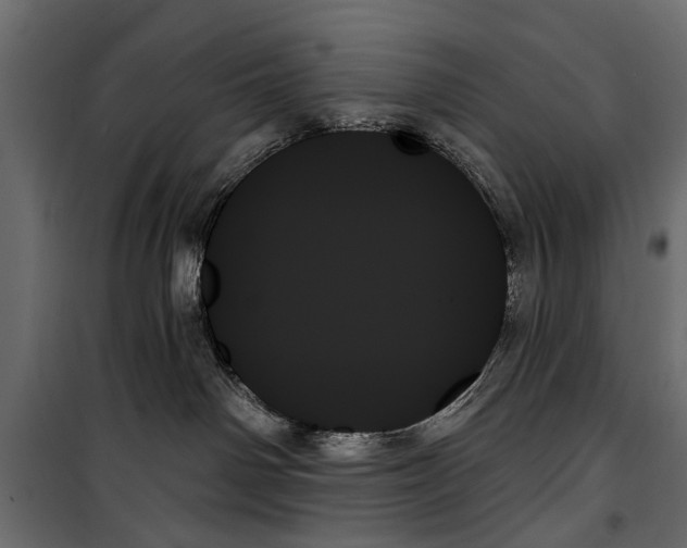 X0000099950142200806201322