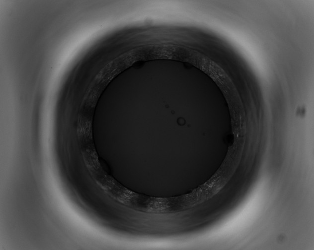 X0000099950143200806201322