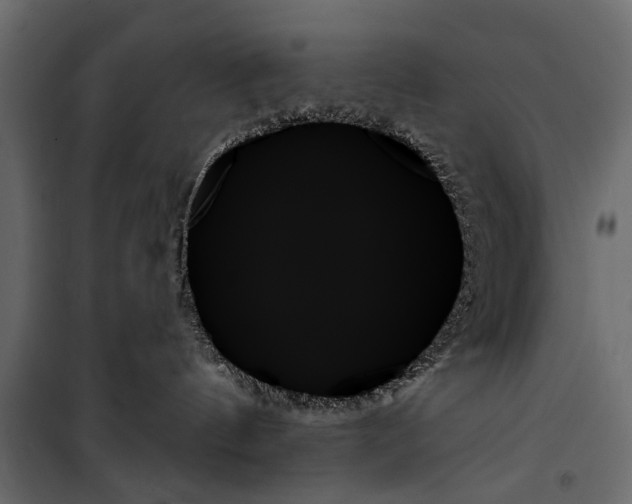 X0000099950144200806201322