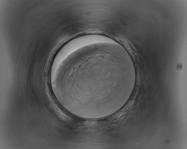X0000099950145200806201322