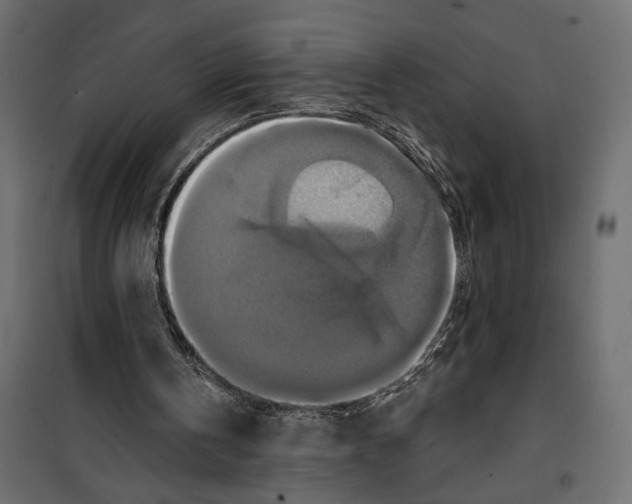 X0000099950146200806201322
