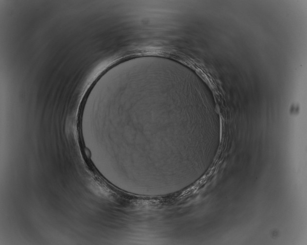 X0000099950147200806201322