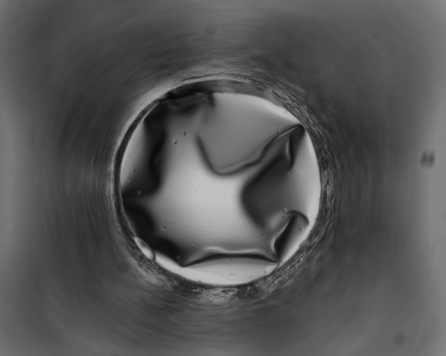 X0000099950148200806201322