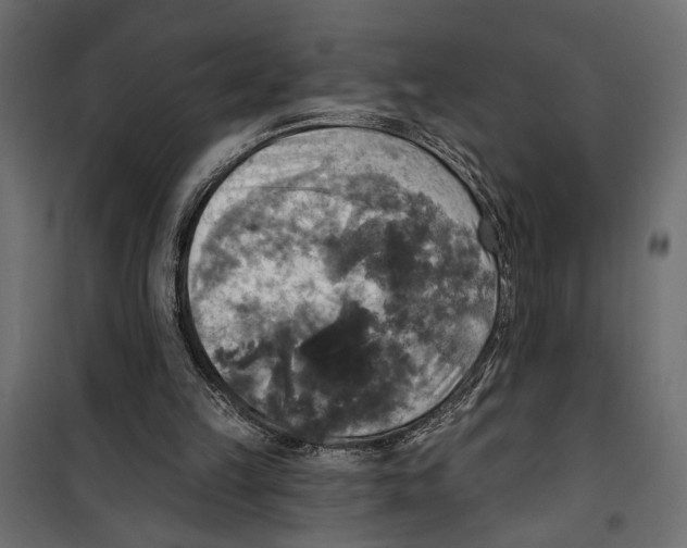X0000099950149200806201322