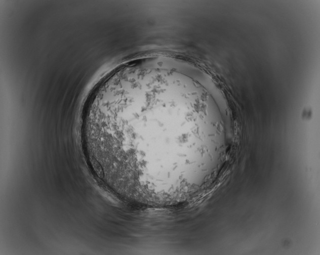X0000099950150200806201322