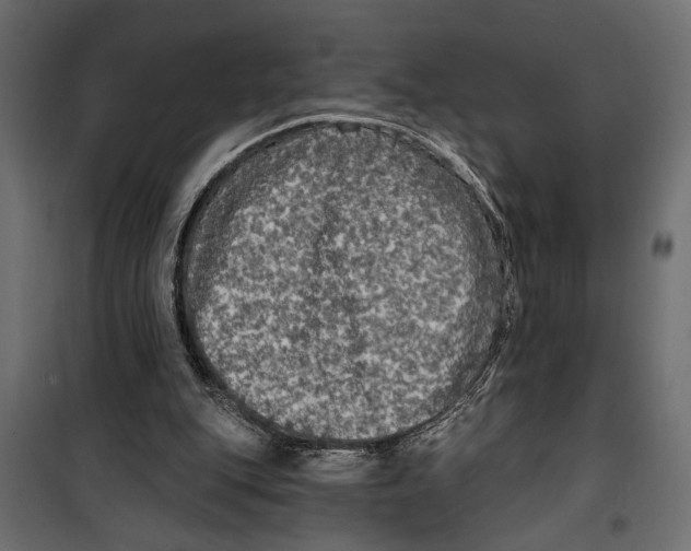 X0000099950151200806201322