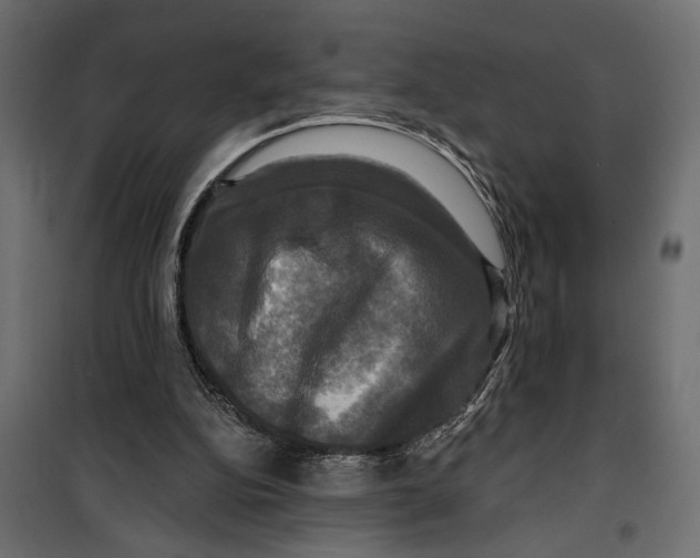 X0000099950152200806201322