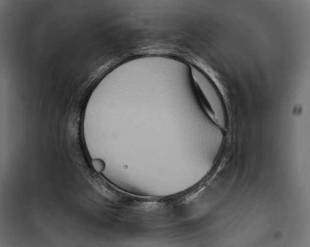 X0000099950153200806201322
