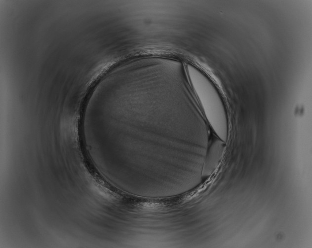 X0000099950154200806201322
