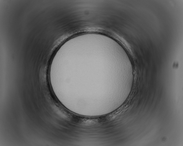 X0000099950155200806201322