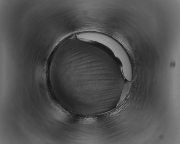 X0000099950156200806201322