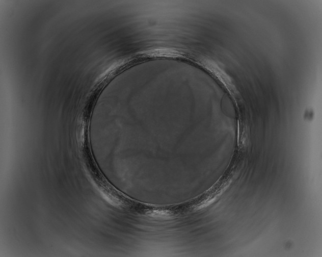 X0000099950157200806201322