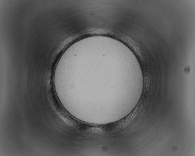 X0000099950159200806201322