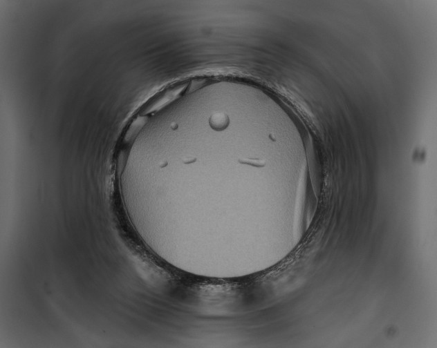 X0000099950160200806201322