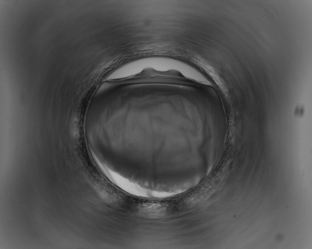 X0000099950161200806201322