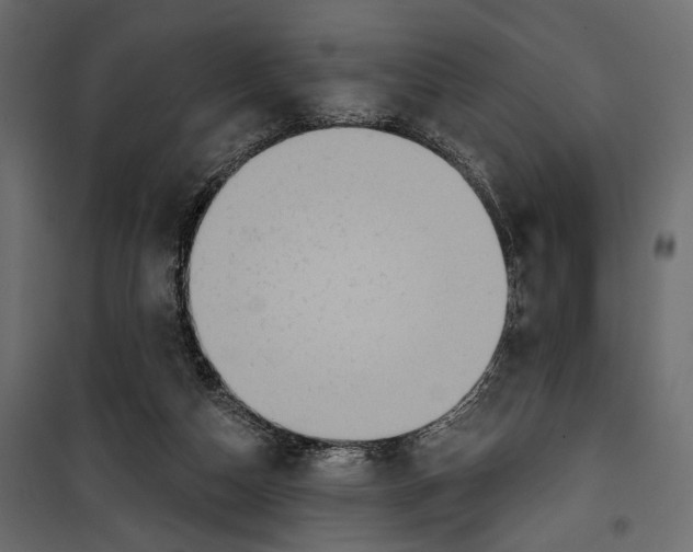 X0000099950162200806201322