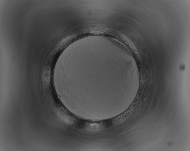 X0000099950163200806201322