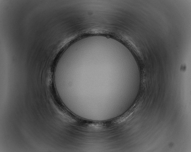 X0000099950164200806201322