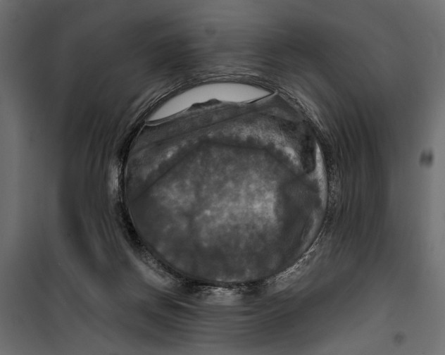 X0000099950166200806201322