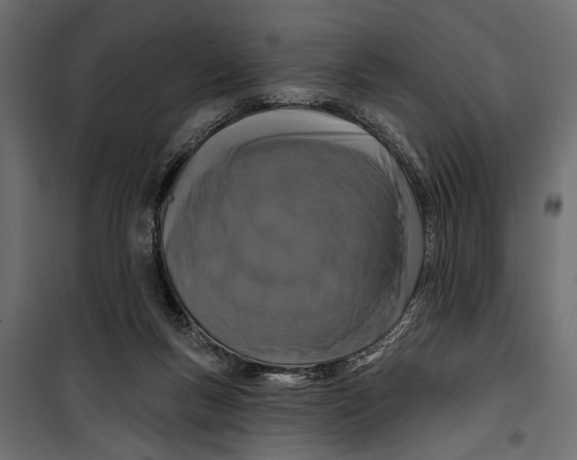 X0000099950167200806201322