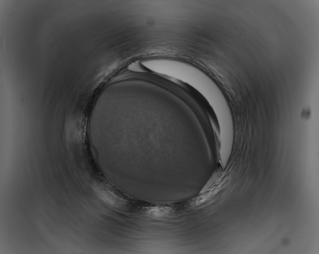 X0000099950168200806201322