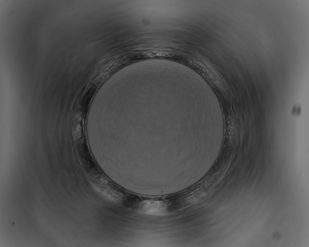 X0000099950169200806201322