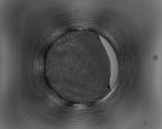 X0000099950170200806201322