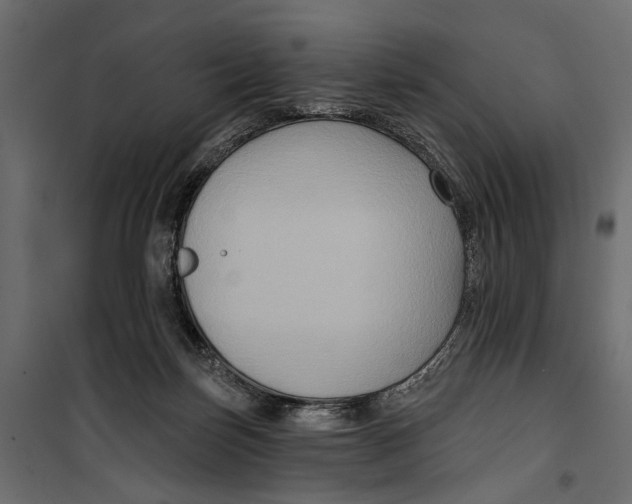X0000099950171200806201322