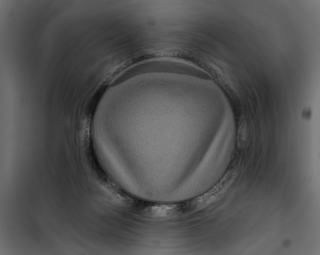 X0000099950172200806201322