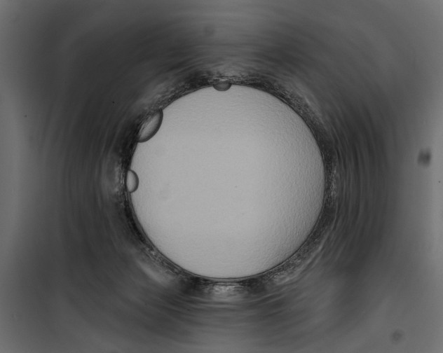 X0000099950173200806201322