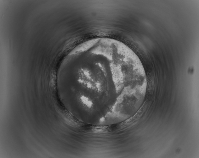 X0000099950175200806201322