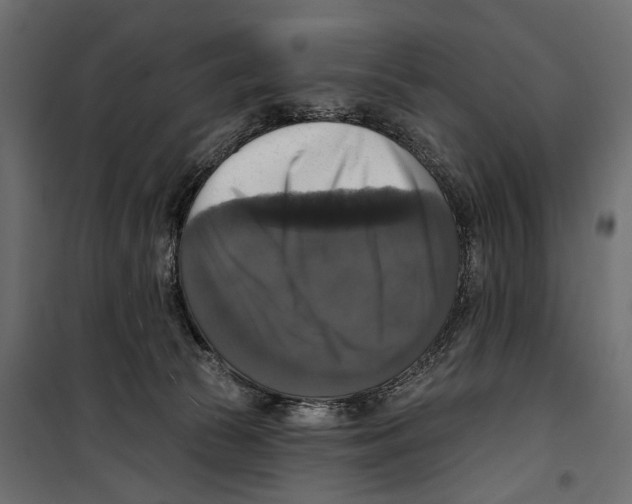 X0000099950177200806201322